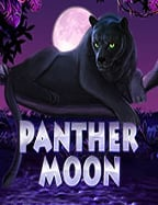 โปร ค่าย pg918kiss 20 รับ 100 ทดลองเล่นที่คุ้มมาก!